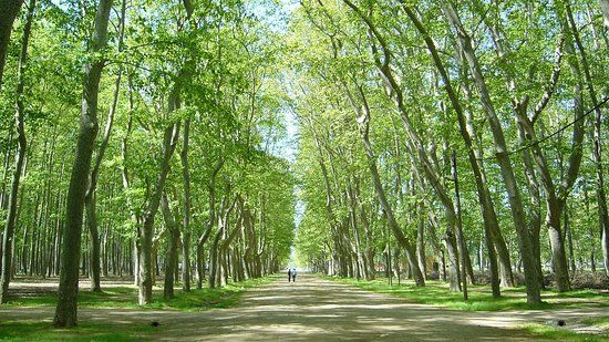 Parque de la Dehesa de Gerona
